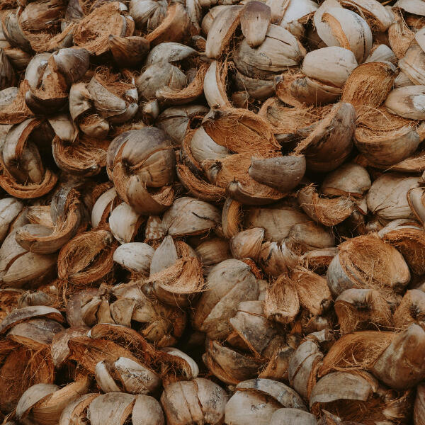 Coconut Products Desiccated coconut, coconut fiber, and value-added coconut materials sourced through verified suppliers